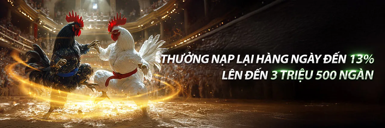 Hình ảnh đại diện Điều khoản và Điều kiện Thomo68